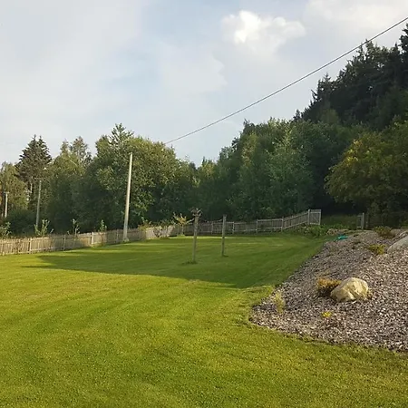 Mačura